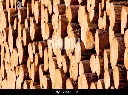 Stack of wood. Stock Photo