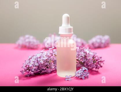 Syringa known as lilac based beauty products concept. Small matte glass oil bottle with lilac blossom bundles for decoration on pink studio background Stock Photo