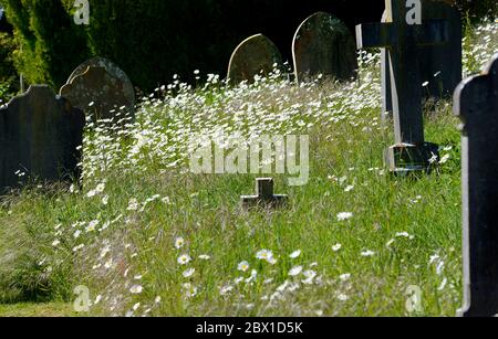 Boughton Monchelsea village, Kent, UK. St Peter's Church graveyard Stock Photo
