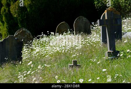 Boughton Monchelsea village, Kent, UK. St Peter's Church graveyard Stock Photo