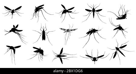 Mosquito silhouette. Flying mosquitoes, swarm insects spreading diseases, dangerous infection and viruses, malaria and dengue. Vector gnats Stock Vector