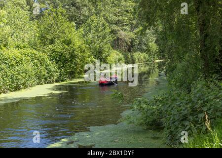 Woudenberg,Holland,27-may-2020:man and a boy canoeing in a canoe on a river in green nature in the netherlands, this part of netherlands is well known for tourists in nature Stock Photo
