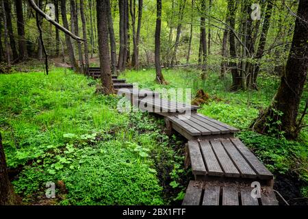 Grejsdalen footpath in the wilderness, Denmark Stock Photo