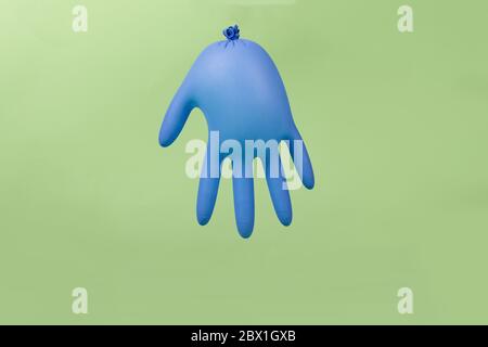 Latex inflated rubber glove inflated like balloons on a green background. Funny colorful and bright concept Stock Photo