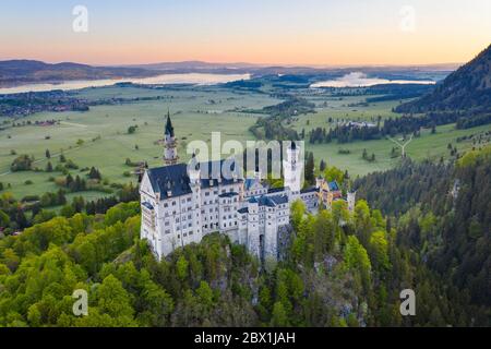Neuschwanstein Castle, in the back Forggensee and Bannwaldsee, near Schwangau, drone shot, East Allgaeu, Allgaeu, Swabia, Bavaria, Germany Stock Photo