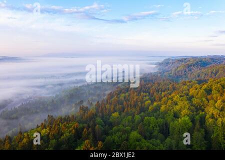 Fog in the Isar valley in the morning light, near Icking, Toelzer Land, drone shot, Upper Bavaria, Bavaria, Germany Stock Photo