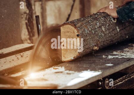 Carpenter cuts wooden board on circular saw. Stock Photo