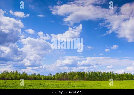 beautiful landscape of Central Russia with birch trees and clear sky Stock Photo