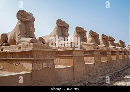 Ancient egyptian ram headed stone sphinx statues in a row at Karnak temple in Luxor Stock Photo