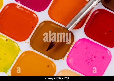Set of watercolor paints and synthetic brushes for painting. Drawing process. Stock Photo