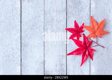 Maple leaves on white painted wood plank background. Stock Photo