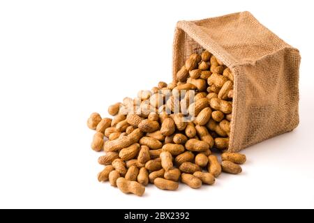 Peanuts in burlap bag on white background. Stock Photo