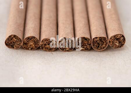 Close up of a dark cigars, brown cigarettes on neutral paper background. Bad habit concept Stock Photo