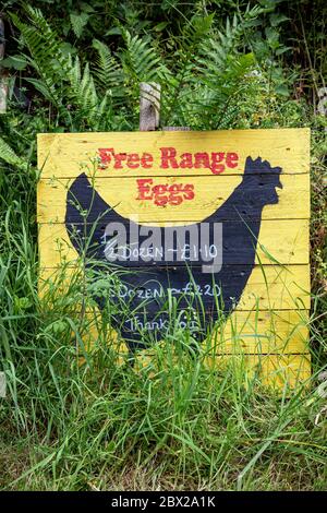 Free range egg sign,Animal Egg, Chicken - Bird, Hen, Farm, White Color, Animal Nest, Free Range, Sitting, Lying Down, Variation, Healthy Lifestyle, Stock Photo