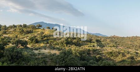 Mountain landscape in Andalucia with cork oaks, Mijas, Southern Spain. Stock Photo