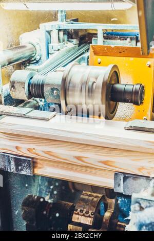 Woodworking factory - the production of building materials from timber ...