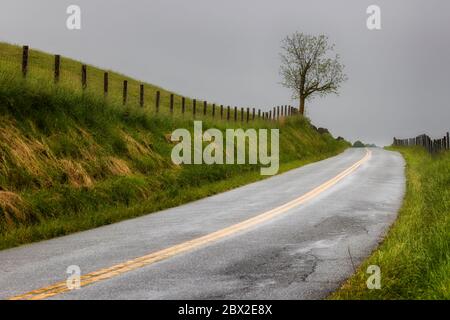 Narrow rural Virginia country road passing through  pasture lands on low hills boarded by fence and a lone tree. Stock Photo