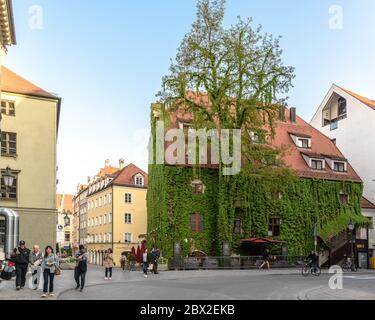 The ivy-covered building of the Restaurant Pfistermuhle in Munich Stock Photo