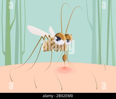 Mosquito biting on Human Skin - Stock Illustration as EPS 10 File Stock ...