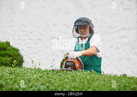 Eldery man landscaping and taking care of plants in garden. Front view of senior worker wearing uniform, protective headphones and face mask cutting overgrown bushes using electric trimming machine. Stock Photo