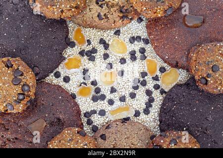 An array of quinoa cookies with the base ingredients on display Stock Photo