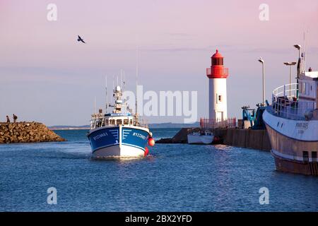 France, Charente-Maritime (17), retour de pêche d'un chalutier sur le Port de la Cotinière à Saint-Pierre d'Oléron Stock Photo