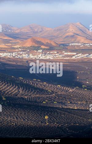 Spain, Canary islands, Lanzarote island, panoramic view over La Geria wine valley from the Montana Guardilama, Uga and Yaiza villages and Montana de la Cinta in the background Stock Photo