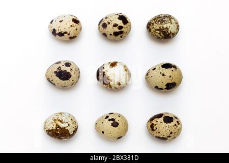 quail eggs in row on white background, top view Stock Photo