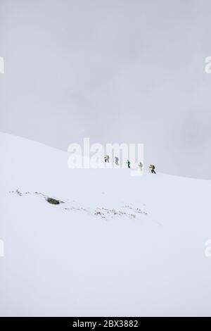France, Haute Savoie, Chamonix-Mont-Blanc, Massif du Mont Blanc, ski touring in the fog at Le Tour, Charamillon Stock Photo