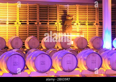 France, Pyrenees Atlantiques, Bearn, Gan, Cave de Jurançon, semi buried aging cellar of Jurançon wine with its cellar master Stock Photo