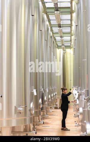 France, Pyrenees Atlantiques, Bearn, Gan, Cave de Jurançon, stainless steel fermentation tanks for Jurançon wine Stock Photo