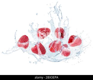 raspberries in water splash isolated on a white background. Stock Photo