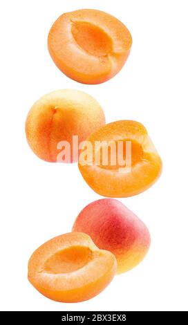 falling apricot slices isolated on a white background. Stock Photo