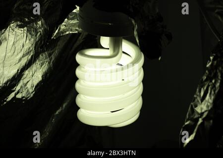 Large energy-saving light bulb in a dark room close up. Stock Photo