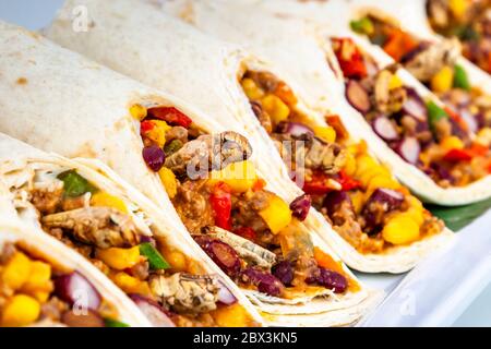 Locust wrap. Delicatessen made of Insects in Cologne, Germany Stock Photo