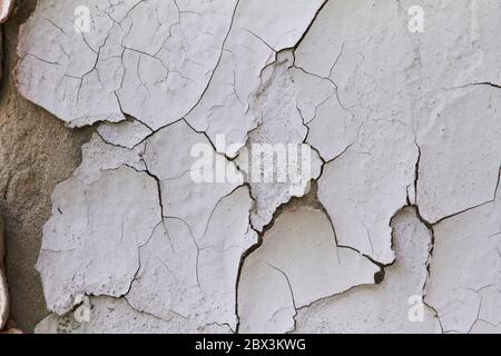 Old flaky cracked paint on gray wall, old paint background, selective focus Stock Photo