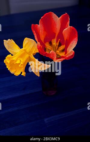Yellow And Red Flowers In A Vase Stock Photo