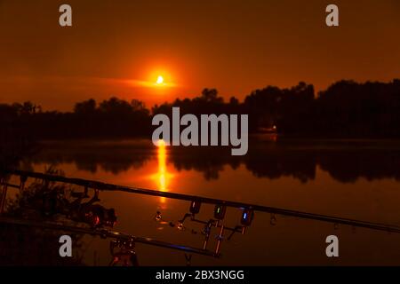 Carp fishing rods standing on special tripods. Expensive coils and a radio  system of crochet Stock Photo - Alamy