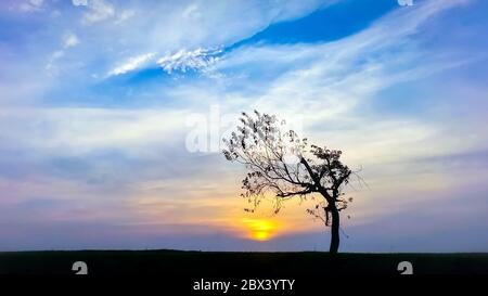 Beautiful sky with cloud before sunset and tree silhouette Stock Photo