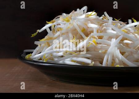 Raw Sprouted mung bean in a black plate and a black background on a wooden table. Ingredient to make Chop suey