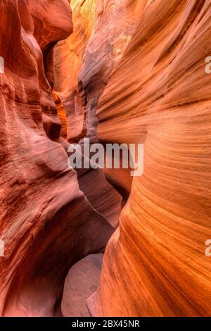 Swirling striations in Peekabook Slot Canyon off the Dry Fork of Coyote Gulch in Grand Staircase-Escalante National Monument, Utah Stock Photo