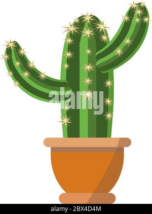 A huge green cactus plant with beautiful thorns vector. Cactus with its branches to the sides in nice proper brown flower pot isolated on white Stock Vector