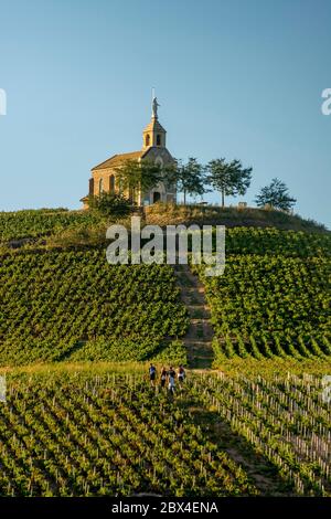 The chapel La Madone at Fleurie village, Beaujolais vineyard, department Rhone, region Auvergne-Rhône-Alpes, France, Europe Stock Photo