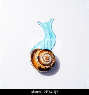 Creative image of cosmetics with snail Concept Facial Body Care with Snail Slime