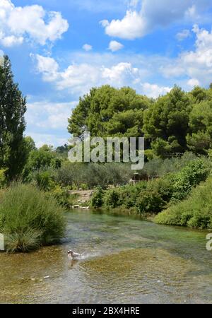 The Jadro river near Split, Croatia. Stock Photo