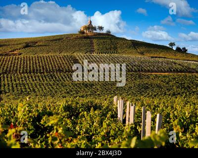 The chapel La Madone at Fleurie village, Beaujolais vineyard, department Rhone, region Auvergne-Rhône-Alpes, France, Europe Stock Photo