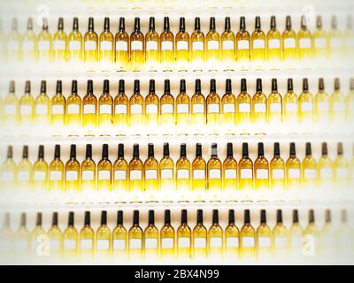 Closeup shot of empty wine bottles in a row on a white background Stock Photo