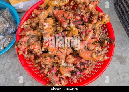 Ginseng root, Cho Con, Con Market, Danang, Vietnam Stock Photo