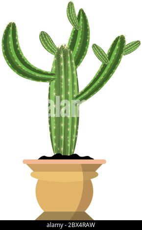 A huge green potted cactus plant with beautiful thorns vector. Cactus with its branches to the sides in nice proper brown flower pot isolated on white Stock Vector
