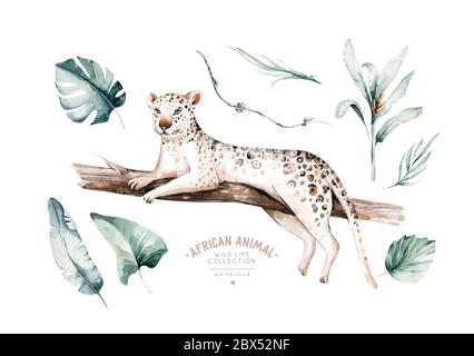 Watercolor painting a gepard . Wild cat isolated on white background. Africa safari leopard animal illustration. Stock Photo